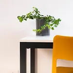 Cityu Grazioli 27 Citta - 2 Stanze Con 2 Parcheggi Privati Gratuiti Apartamento Trento
